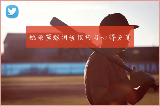 姚明篮球训练技巧与心得分享