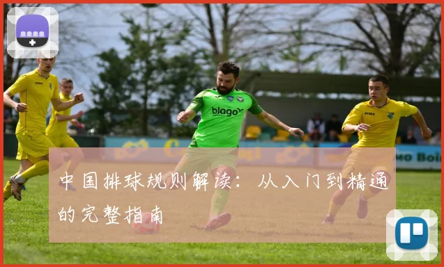 中国排球规则解读：从入门到精通的完整指南
